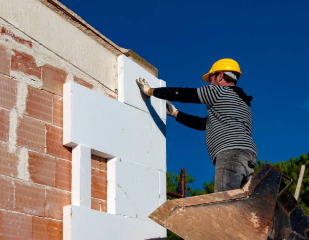 Best Energy-efficient Insulation  in Mount Olive, NC