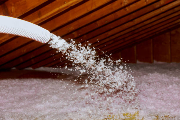 Insulation Repair Services in Mount Olive, NC