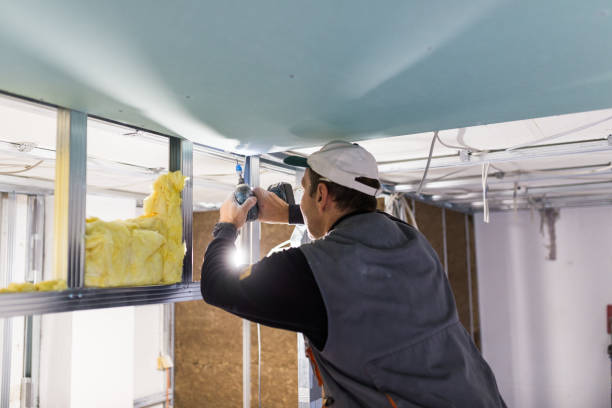 Insulation for New Construction in Mount Olive, NC