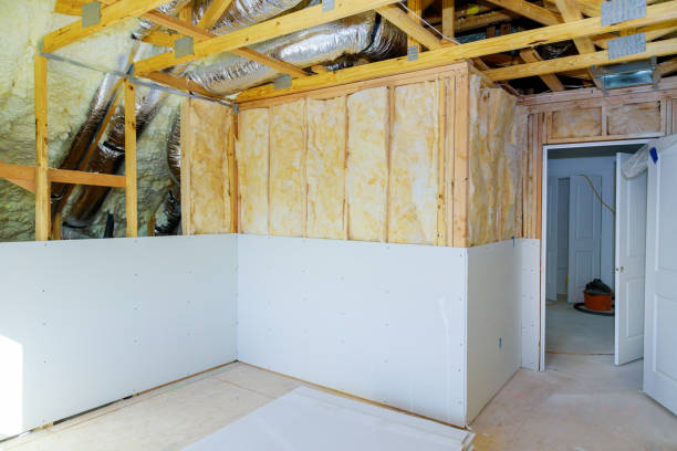 Best Insulation Repair Services  in Mount Olive, NC