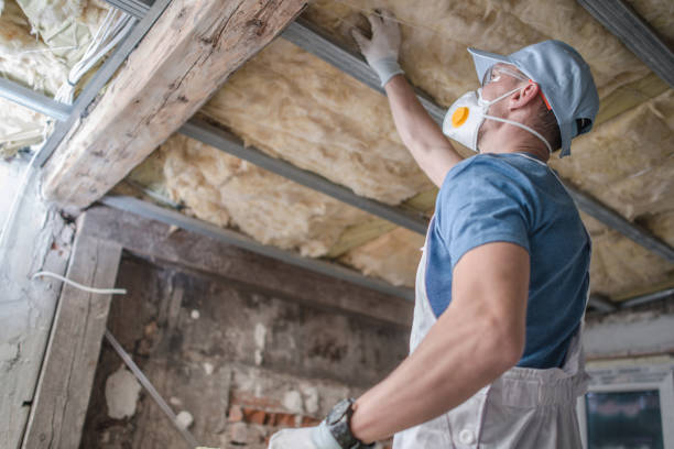 Best Insulation Installation Cost  in Mount Olive, NC