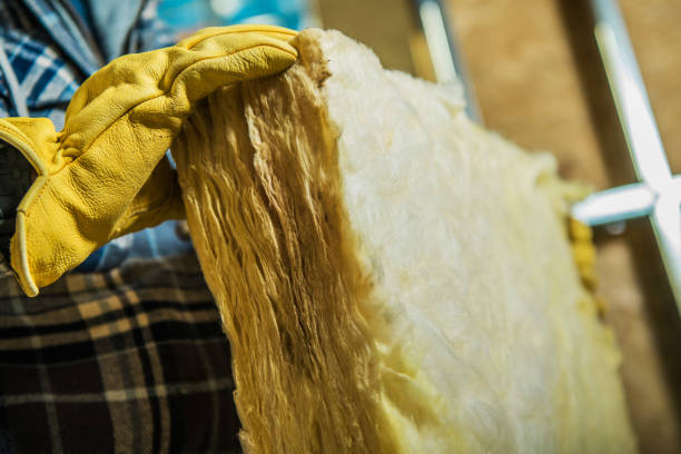 Best Professional Insulation Contractor  in Mount Olive, NC