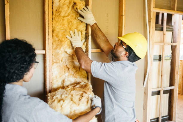 Best Insulation Contractors for Homes  in Mount Olive, NC