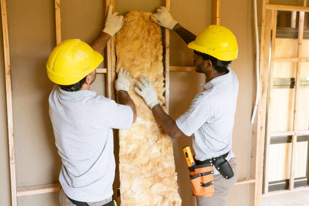 Professional Insulation Contractor in Mount Olive, NC