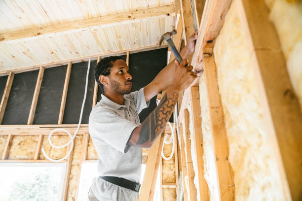 Best Attic Insulation Installation  in Mount Olive, NC