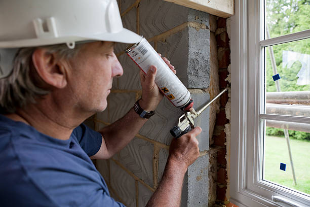 Best Insulation Replacement Services  in Mount Olive, NC
