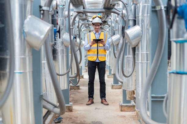 Best Insulation Inspection Services  in Mount Olive, NC