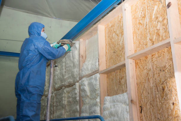 Best Wall Insulation Contractor  in Mount Olive, NC
