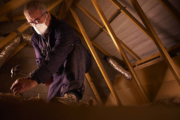 Best Insulation for New Construction  in Mount Olive, NC