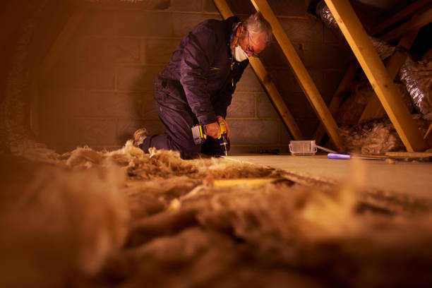 Best Insulation Removal  in Mount Olive, NC